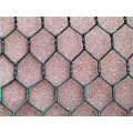 BWG 14-21green & black pvc coated hexagonal wire netting